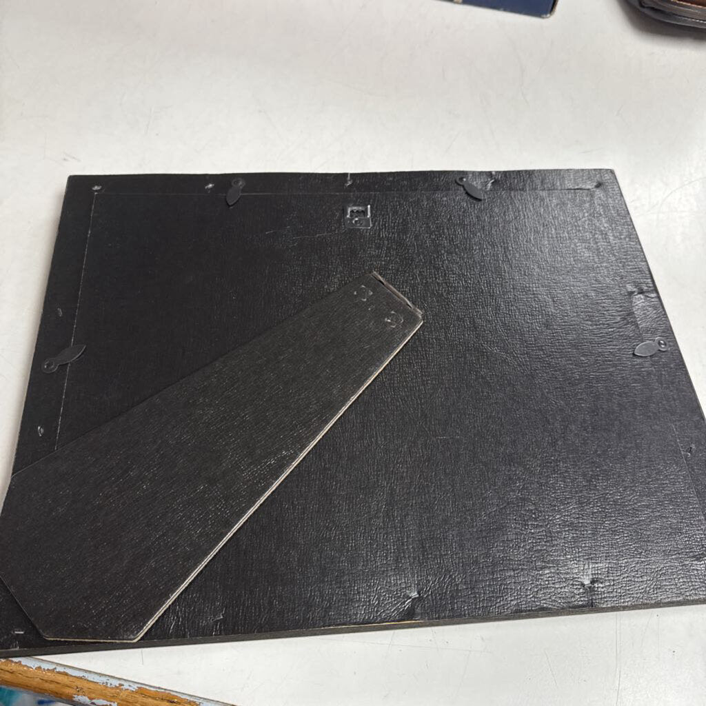 Polar Bear Cubs Pin Plaque