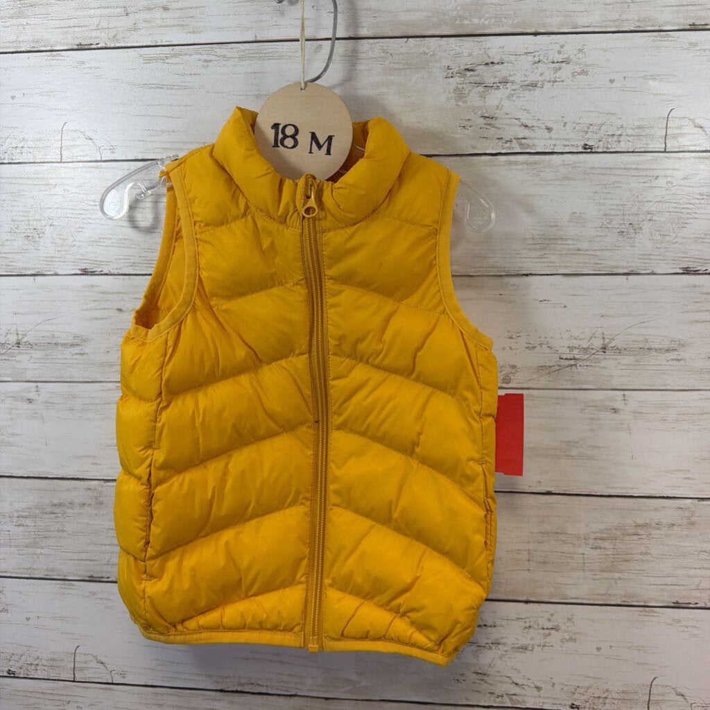 Vest